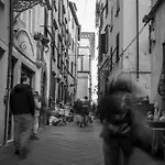 Nido Sui Tetti Di Lucca, Romantico E Centralissimo